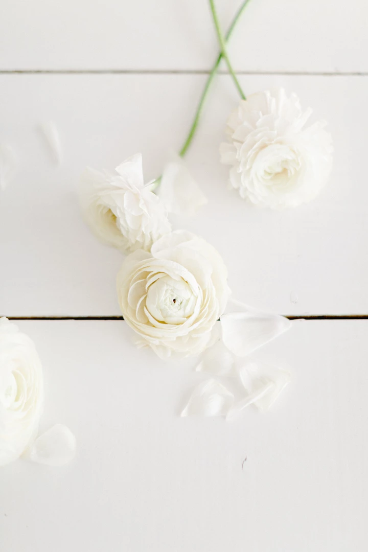 Inspiration Printemps